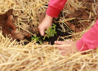 Make Gardening Fun for Your Little One